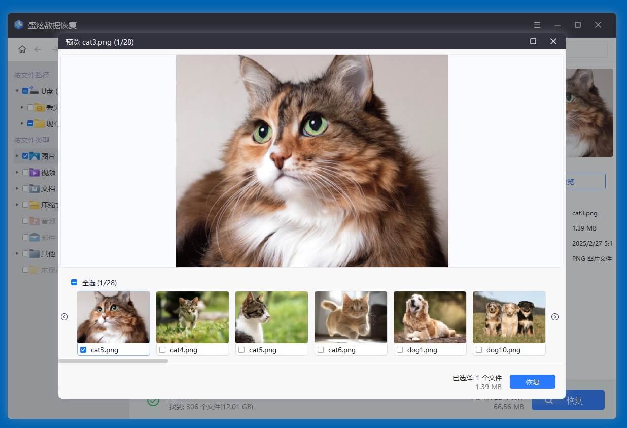 恢复爱国者U盘中的数据