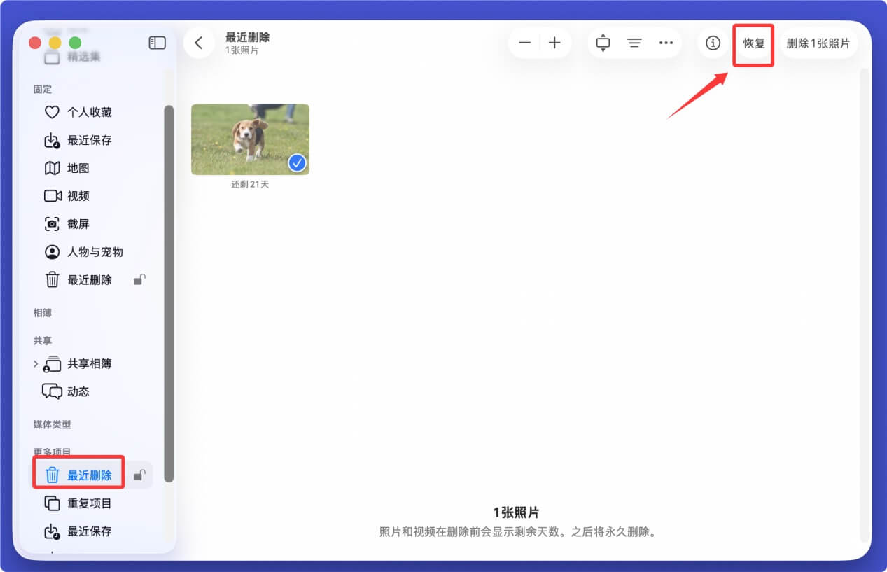 帮助恢复苹果电脑上已经删除的文件
