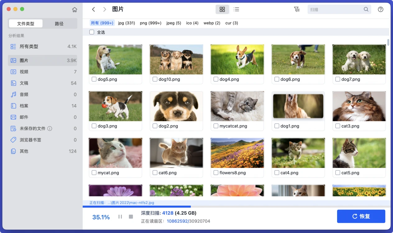 在Mac上修复存储卡