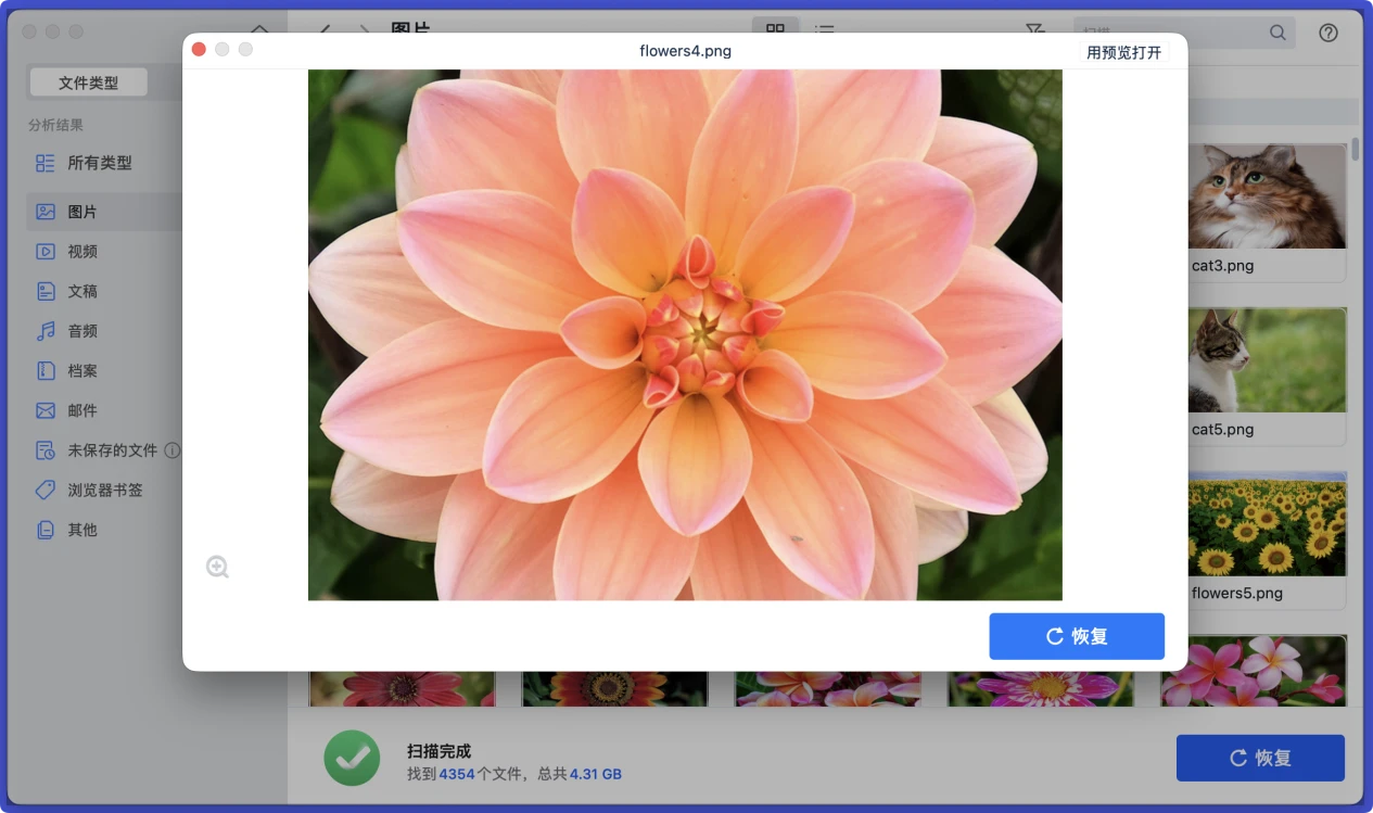 在Mac上修复存储卡