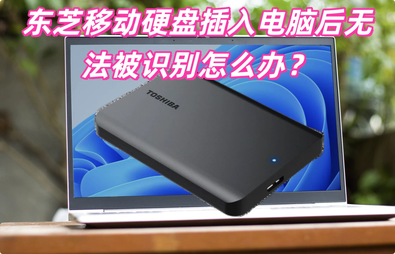 东芝移动硬盘不被电脑识别