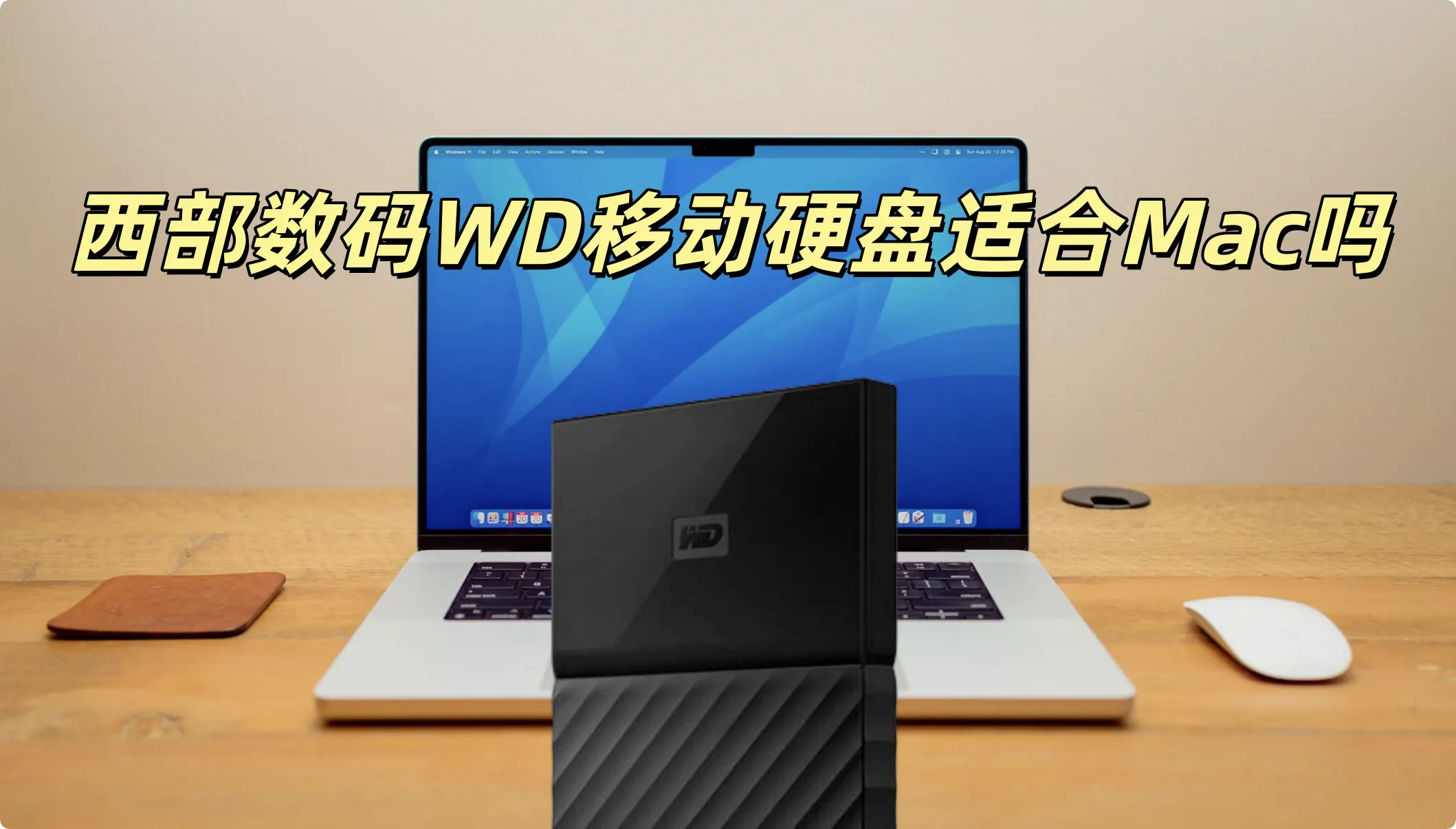 西部数码WD移动硬盘适合Mac电脑吗