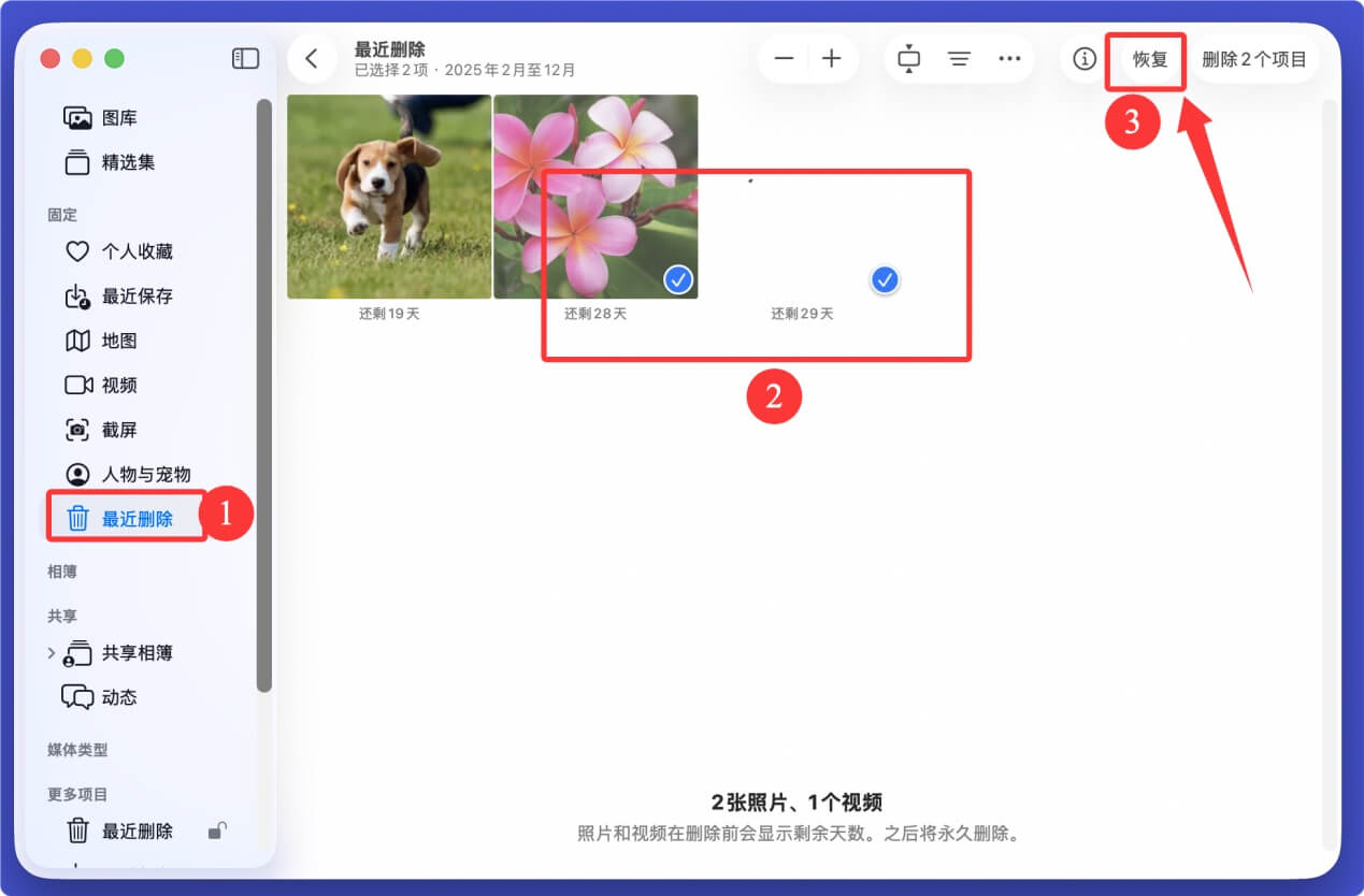 Mac视频文件恢复