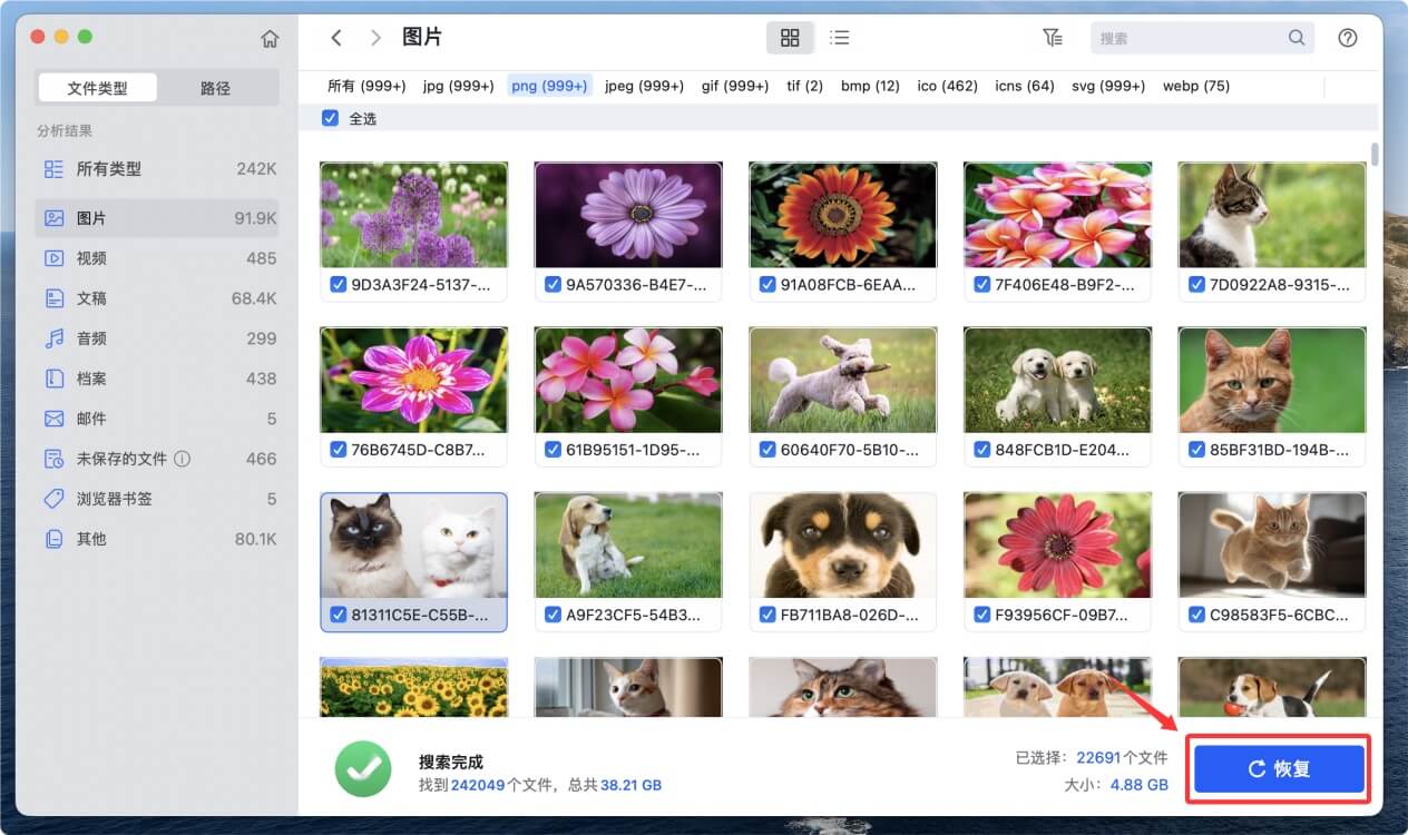 macOS 10.15 Catalina数据恢复