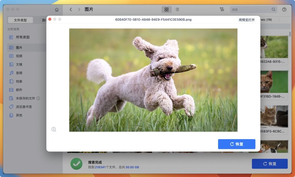 macOS Ventura数据恢复