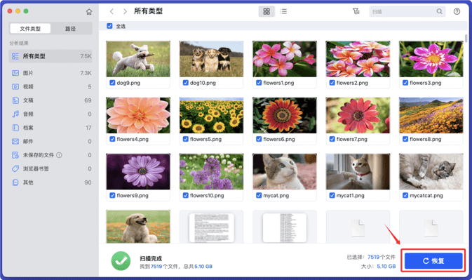 U盘在Mac上急救后文件丢失了