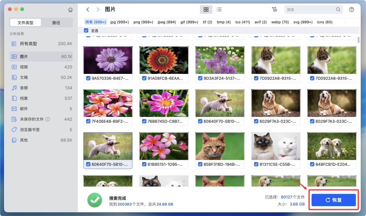 恢复macOS Tahoe 26桌面上已经删除和丢失的文件