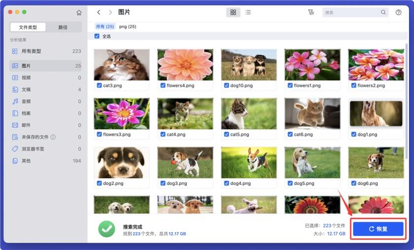 闪迪存储卡无法在Mac上被读取