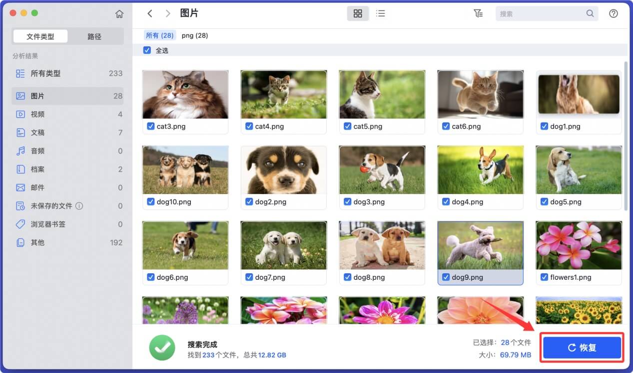 在Mac上从SD卡中恢复丢失数据