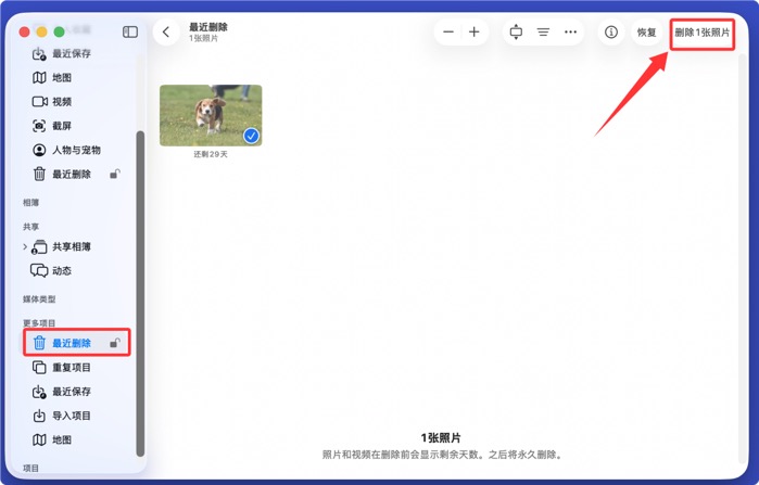 永久地删除Mac上的照片和图片文件