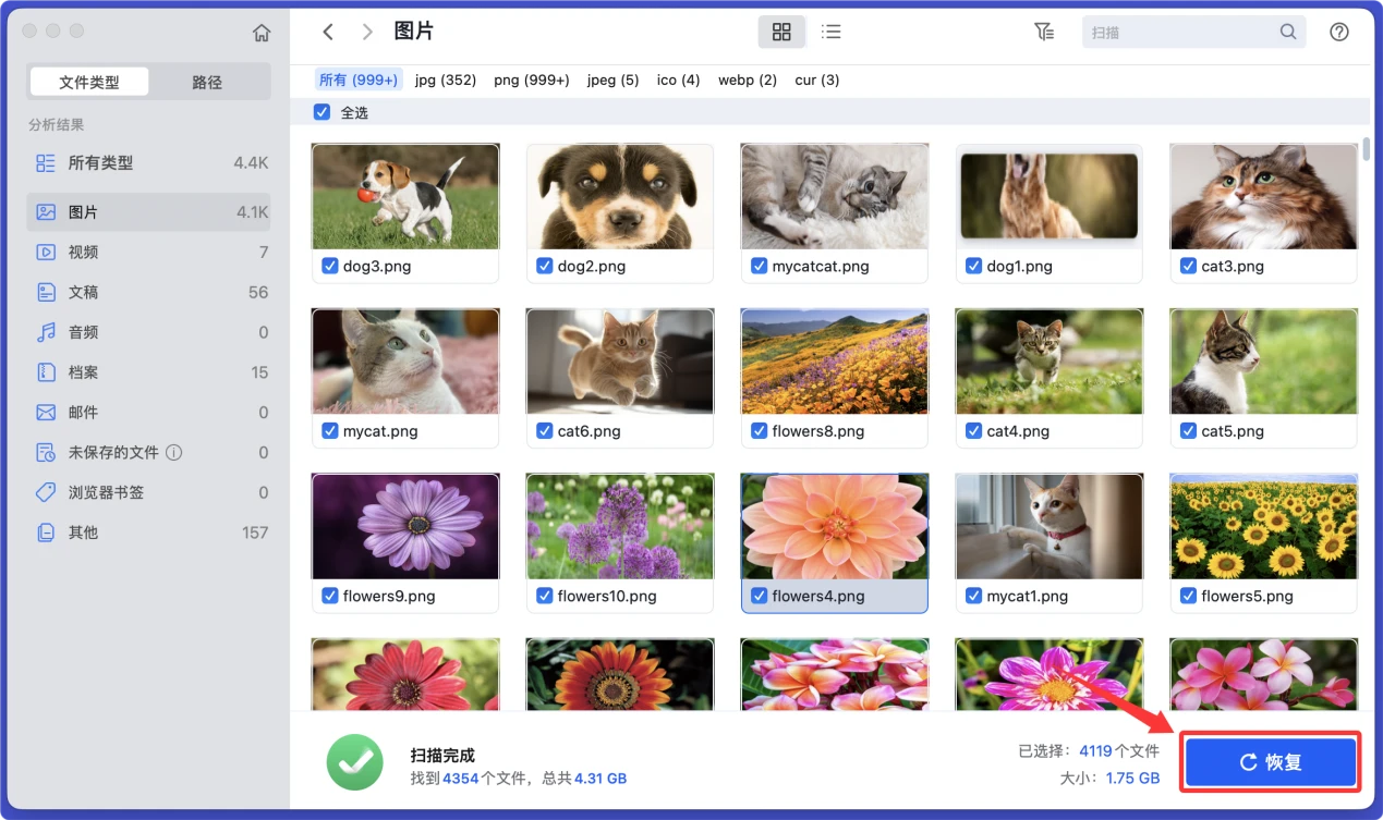 如何在Mac上恢复相机内丢失的数据